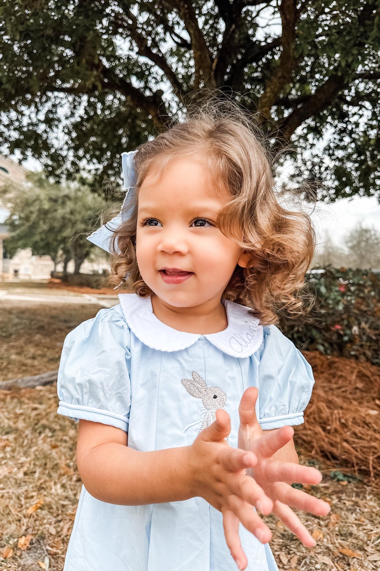 Easter Pleated Woven Dress - Sweet Bunny