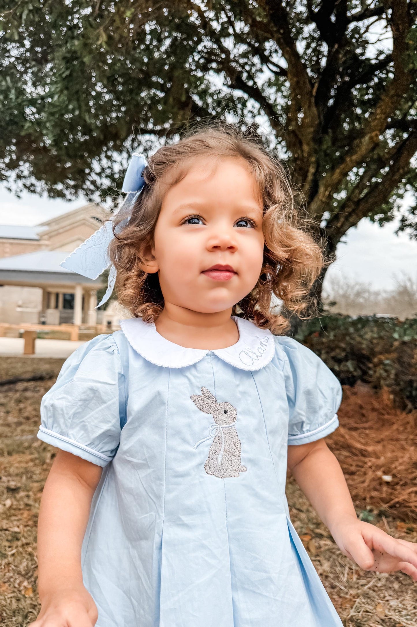 Easter Pleated Woven Dress - Sweet Bunny